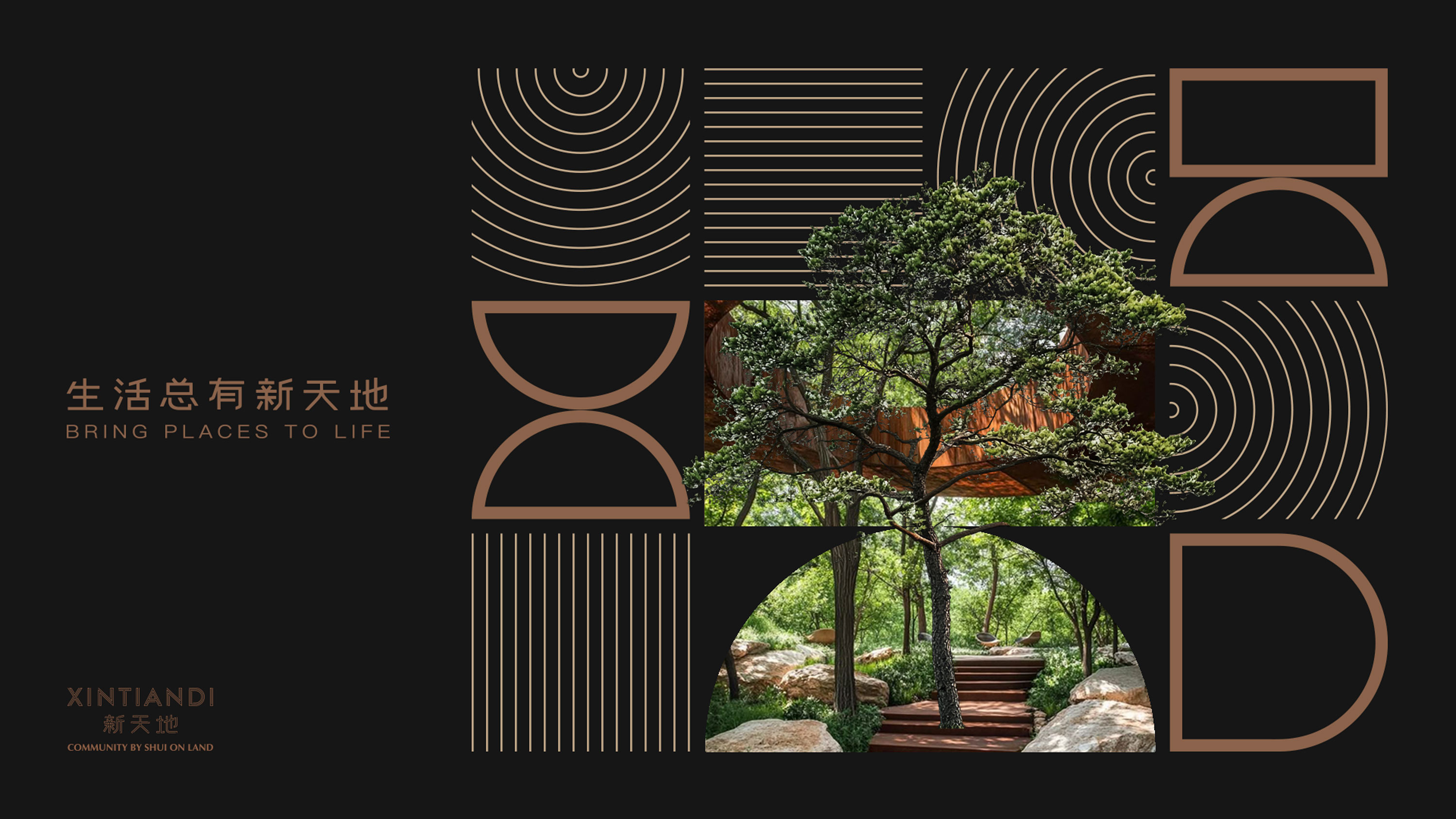 XTD_KV_black_0814-1
